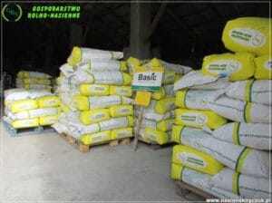 nasiona kiryczuk Gospodarstwo Rolno-Nasienne Andrzej Kiryczuk