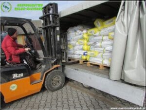 nasiona kiryczuk Gospodarstwo Rolno-Nasienne Andrzej Kiryczuk