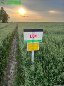 plony 2024 2 Gospodarstwo Rolno-Nasienne Andrzej Kiryczuk