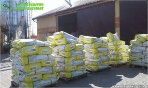 nasiona kiryczuk Gospodarstwo Rolno-Nasienne Andrzej Kiryczuk