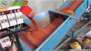 nasiona kiryczuk Gospodarstwo Rolno-Nasienne Andrzej Kiryczuk