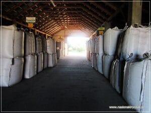 przygotowanie do sprzedaży Gospodarstwo Rolno-Nasienne Andrzej Kiryczuk