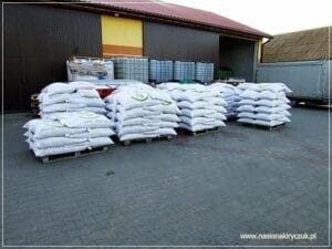 przygotowanie do sprzedaży Gospodarstwo Rolno-Nasienne Andrzej Kiryczuk