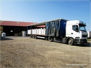 przygotowanie do sprzedaży Gospodarstwo Rolno-Nasienne Andrzej Kiryczuk