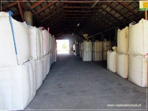 przygotowanie do sprzedaży Gospodarstwo Rolno-Nasienne Andrzej Kiryczuk