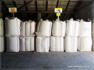 przygotowanie do sprzedaży Gospodarstwo Rolno-Nasienne Andrzej Kiryczuk