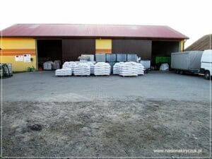 przygotowanie do sprzedaży Gospodarstwo Rolno-Nasienne Andrzej Kiryczuk